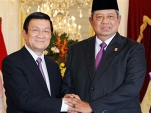 Vietnam and Indonesia establish strategic partnership  - ảnh 1